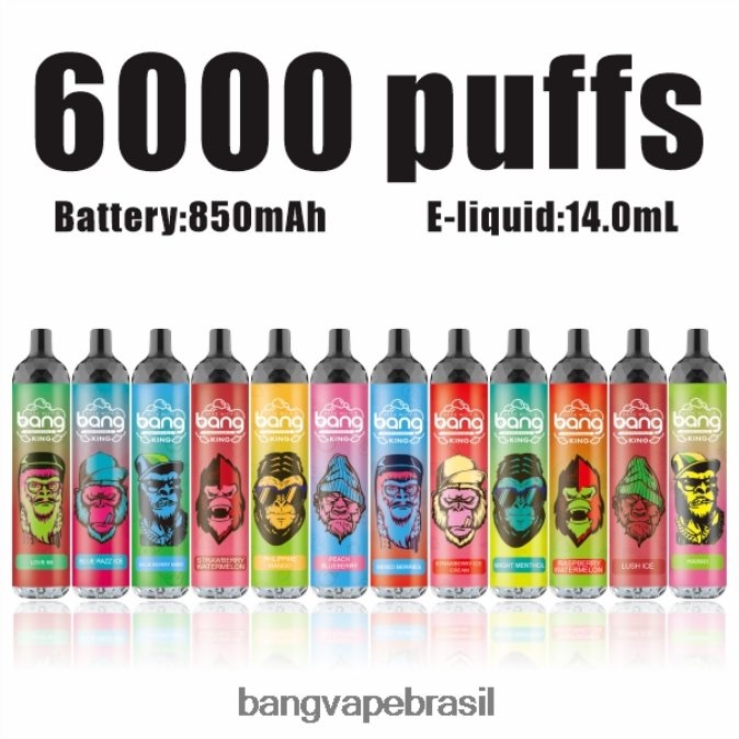 Bang Vape King 6000 baforadas 5% nic recarregável tipo-c - 8BDZ028 Bang Vape Flavors descartável