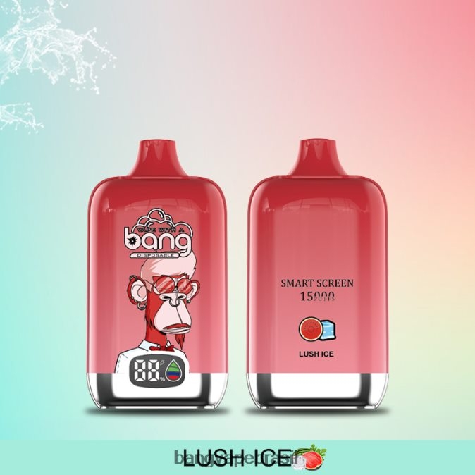 Bang Vape Digital Smart Screen 15.000 baforadas 25ml - 8BDZ0211 Vape Gang Brasil descartável