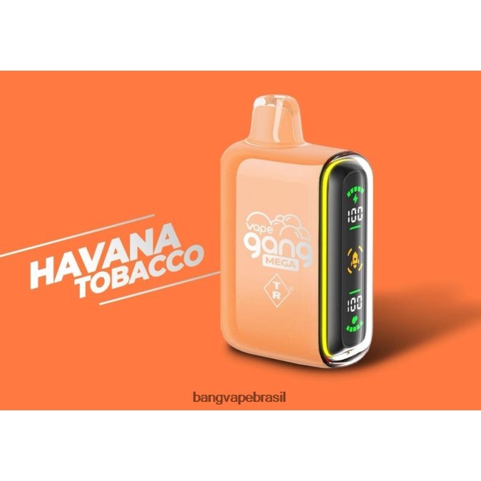 Vape Gang MEGA 20.000 baforadas de vape descartável (caixa com 5) - 8BDZ0255 Vape Gang Disposables tabaco havana