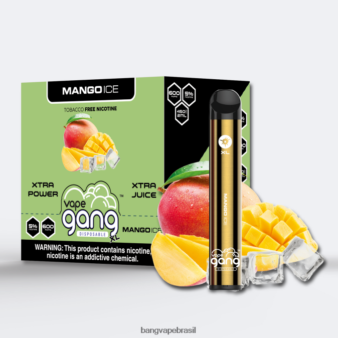 Vape Gang XL vapes descartáveis ​​600 baforadas (caixa com 10) - 8BDZ0268 Bang Vape Price gelo de manga